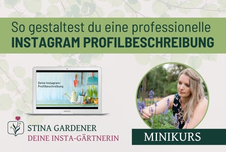 Instagram Minikurs Profilbeschreibung